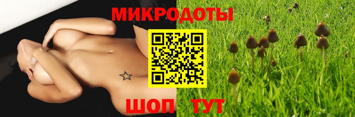 Галлюциногенные грибы мицелий  Вход с VPN  Холмск 